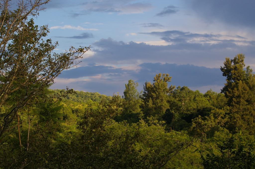 Bush Baby Glen Villa Hazyview Oda fotoğraf