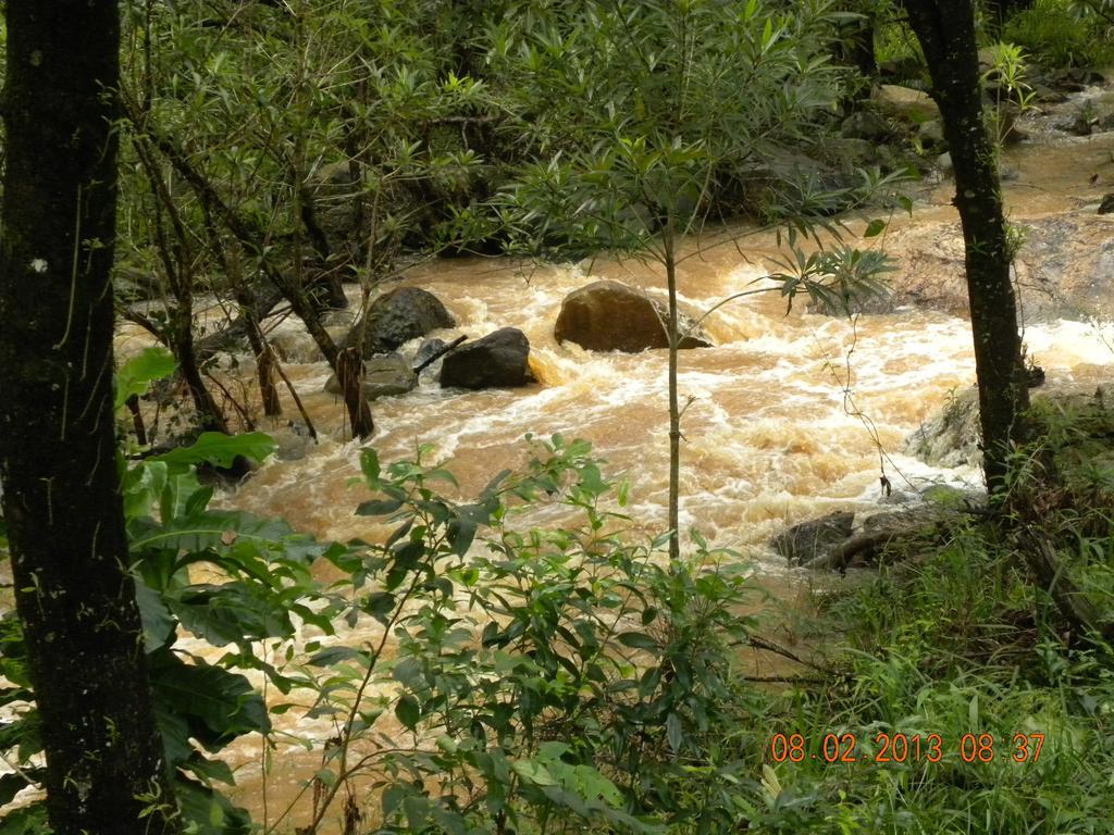 Bush Baby Glen Villa Hazyview Dış mekan fotoğraf