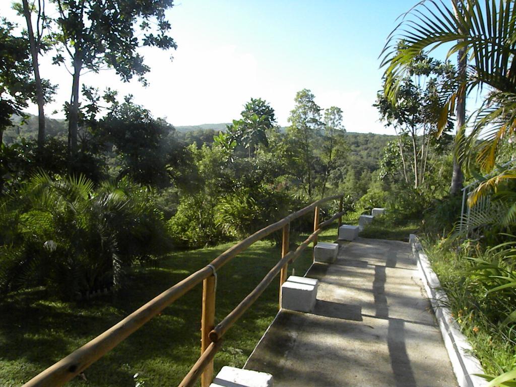 Bush Baby Glen Villa Hazyview Dış mekan fotoğraf