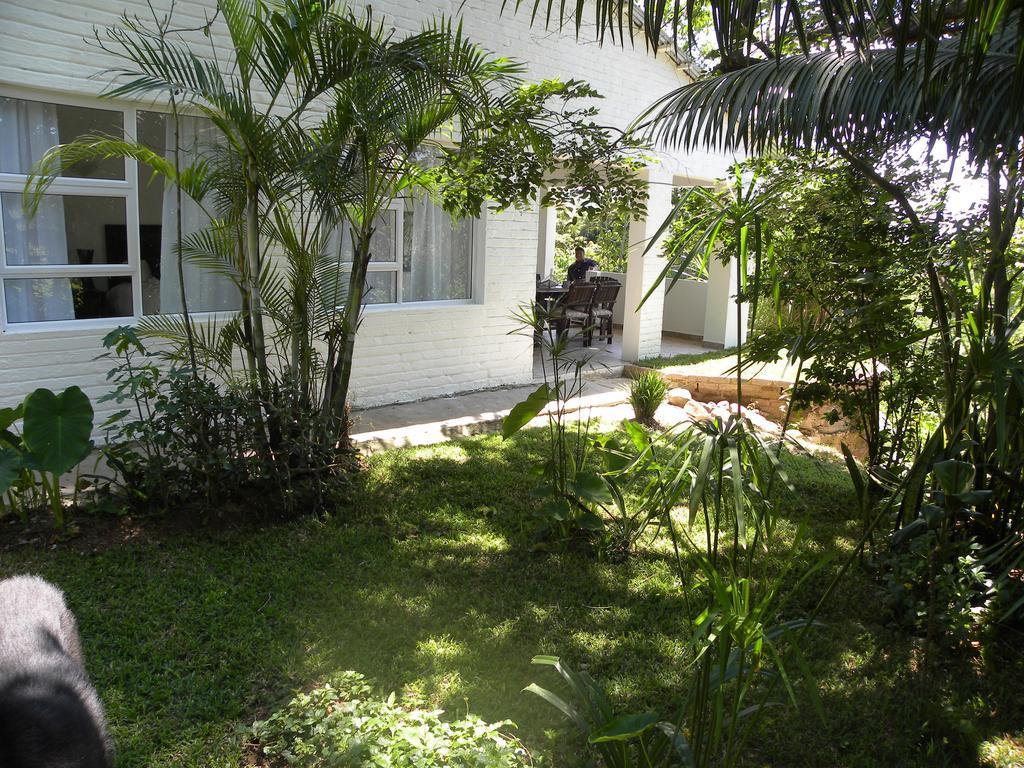 Bush Baby Glen Villa Hazyview Dış mekan fotoğraf